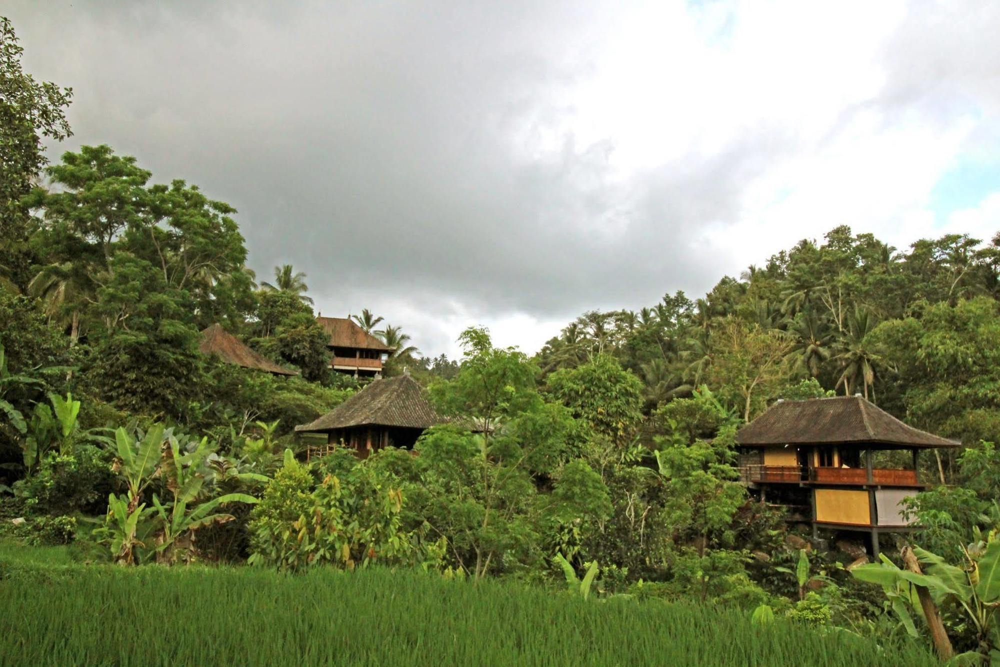 Bali Eco Stay Exterior photo